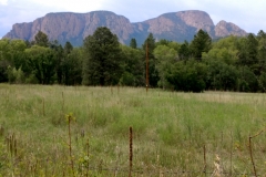 Gallinas_Canyon_1