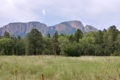Gallinas_Canyon_2