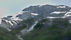 Glacier-Bay-AK-FZ2500-07-04-2024-P1110650