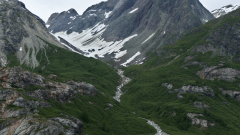 Glacier-Bay-AK-FZ2500-07-04-2024-P1110656