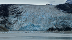 Glacier-Bay-AK-FZ2500-07-04-2024-P1110745