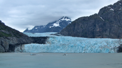 Glacier-Bay-AZ-FZ2500-07-04-2024-P1110580