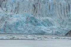Glacier-Bay-Norwegian-Encore-FZ2500-07-04-2024-P1110744