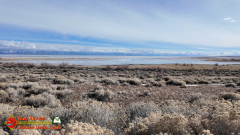 Antelope-Island-State-Park-Great-Salt-Lake-UT-Pocket3-01-26-2024_000135_03