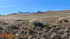 Antelope-Island-State-Park-Great-Salt-Lake-UT-Pocket3-01-26-2024_000147_05