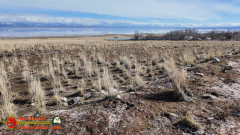Antelope-Island-State-Park-Great-Salt-Lake-UT-Pocket3-01-26-2024_000210_07