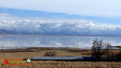 Antelope-Island-State-Park-Great-Salt-Lake-UT-Pocket3-01-26-2024_000259_08