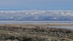 Great-Salt-Lake-Antelope-Island-FZ2500-01-25-2024-P1110123