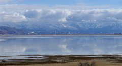 Great-Salt-Lake-Antelope-Island-FZ2500-01-25-2024-P1110140