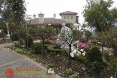 Hearst-Castle-Apr-2016-DSC01207