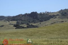 Hearst-Castle-Apr-2016-DSC01219
