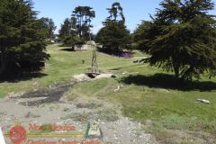 San-Simeon-Pines-Hearst-Castle-Apr-2016-DSC01171