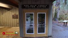 HOH-Rain-Forest-Hall-of-Mosses-Trail-Forks-WA-Insta360-Ace-Pro-01-22-2024-vlcsnap-2024-vlcsnap-2024-07-20-13h59m50s872