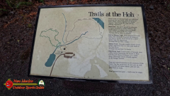 HOH-Rain-Forest-Hall-of-Mosses-Trail-Forks-WA-Insta360-Ace-Pro-01-22-2024-vlcsnap-2024-vlcsnap-2024-07-20-14h00m33s345