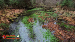 HOH-Rain-Forest-Hall-of-Mosses-Trail-Forks-WA-Insta360-Ace-Pro-01-22-2024-vlcsnap-2024-vlcsnap-2024-07-20-14h01m19s467