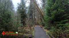 HOH-Rain-Forest-Hall-of-Mosses-Trail-Forks-WA-Insta360-Ace-Pro-01-22-2024-vlcsnap-2024-vlcsnap-2024-07-20-14h03m15s376