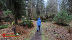 HOH-Rain-Forest-Hall-of-Mosses-Trail-Forks-WA-Insta360-Ace-Pro-01-22-2024-vlcsnap-2024-vlcsnap-2024-07-20-14h03m29s206
