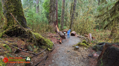 Hoh-Rain-Forest-Spruce-Nature-Trail-Insta360-Ace-Pro-01-23-2024-cap_Hoh-Rain-Forest-Spruce-Nature-Trail-Insta360-Ace-Pro-01-23-2024_000505_11