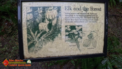 Hoh-Rain-Forest-Spruce-Nature-Trail-Insta360-Ace-Pro-01-23-2024-cap_Hoh-Rain-Forest-Spruce-Nature-Trail-Insta360-Ace-Pro-01-23-2024_001512_50
