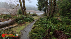 Hoh-Rain-Forest-Spruce-Nature-Trail-Insta360-Ace-Pro-01-23-2024-cap_Hoh-Rain-Forest-Spruce-Nature-Trail-Insta360-Ace-Pro-01-23-2024_001619_53