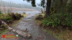 Hoh-Rain-Forest-Spruce-Nature-Trail-Insta360-Ace-Pro-01-23-2024-cap_Hoh-Rain-Forest-Spruce-Nature-Trail-Insta360-Ace-Pro-01-23-2024_001635_54