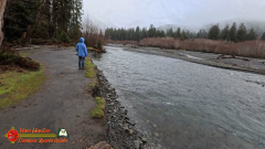 Hoh-Rain-Forest-Spruce-Nature-Trail-Insta360-Ace-Pro-01-23-2024-cap_Hoh-Rain-Forest-Spruce-Nature-Trail-Insta360-Ace-Pro-01-23-2024_001704_56