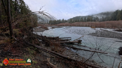 Hoh-Rain-Forest-Spruce-Nature-Trail-Insta360-Ace-Pro-01-23-2024-cap_Hoh-Rain-Forest-Spruce-Nature-Trail-Insta360-Ace-Pro-01-23-2024_001901_65