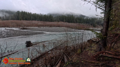 Hoh-Rain-Forest-Spruce-Nature-Trail-Insta360-Ace-Pro-01-23-2024-cap_Hoh-Rain-Forest-Spruce-Nature-Trail-Insta360-Ace-Pro-01-23-2024_001928_66