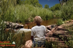 Jemez-River-Trout-Fishing-Public-Access-Osmo-Pocket-07-01-2020