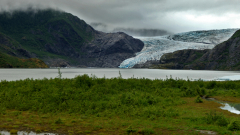 Mendenhall-Glacier-Juneau-Alaska-FZ2500-07-02-2024-P1110317