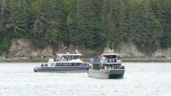 Whale-Watching-Juneau-Alaska-FZ2500-07-02-2024-P1110367