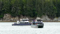 Whale-Watching-Juneau-Alaska-FZ2500-07-02-2024-P1110367