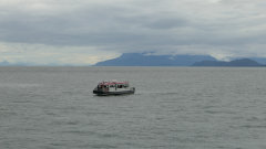 Whale-Watching-Juneau-Alaska-FZ2500-07-02-2024-P1110472