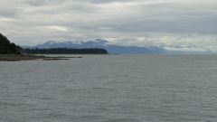 Whale-Watching-Juneau-Alaska-FZ2500-07-02-2024-P1110478