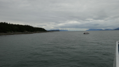 Whale-Watching-Juneau-Alaska-FZ2500-07-02-2024-P1110479
