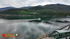 Ketchikan-Alaska-Tongass-Rainforest-Tour-Day6-Pocket3-07-05-2024_000216_07