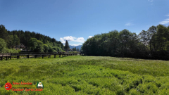 Ketchikan-Alaska-Tongass-Rainforest-Tour-Day6-Pocket3-07-05-2024_000357_12