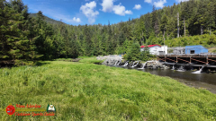 Ketchikan-Alaska-Tongass-Rainforest-Tour-Day6-Pocket3-07-05-2024_000417_13