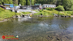 Ketchikan-Alaska-Tongass-Rainforest-Tour-Day6-Pocket3-07-05-2024_000509_14