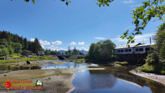 Ketchikan-Alaska-Tongass-Rainforest-Tour-Day6-Pocket3-07-05-2024_000557_16