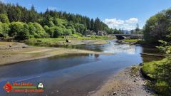 Ketchikan-Alaska-Tongass-Rainforest-Tour-Day6-Pocket3-07-05-2024_000623_17