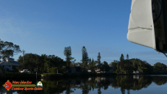 Bald-Eagle-Perched-Shakett-Creek-FZ80-11-28-2019-Pcomposed_000137_05