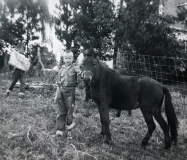 Mike-Pony-Wilson-Place-Manhattan