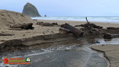 Exploring-Cannon-Beach-Oregon-Pocket3-01-22-2024_000330_07