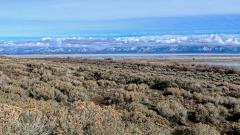 Great-Salt-Lake-Antelope-Island
