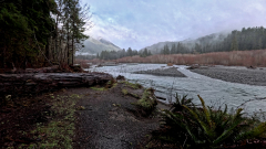 Hoh-River