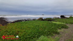 Hwy-1-Bodega-Bay-to-Crescent-City-Crescent-Beach-Motel-Insta360-Ace-Pro-01-16-2024-vlcsnap-00003