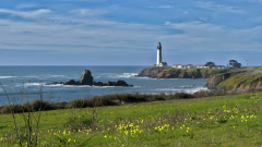 Hwy-1-Santa-Cruz-to-Bodega-Bay-Lighthouse-FZ2500-01-15-2024-P1100451