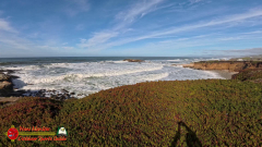 Hwy-1-Santa-Cruz-to-Pigeon-Point-Lighthouse-Insta360-Ace-Pro-Ocean-01-15-2024