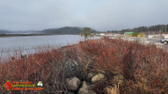 Pacific-Coast-James-Island-Quillayute-River-Forks-WA-Pocket3-01-23-2024_000208_06